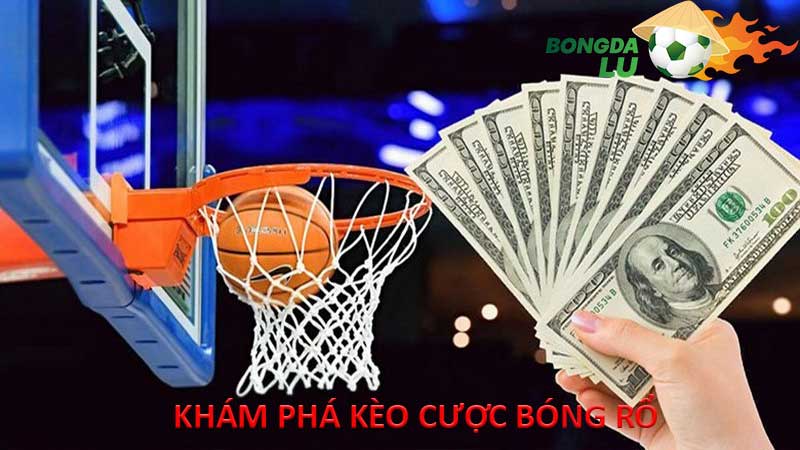 kham-pha-keo-cuoc-bong-ro